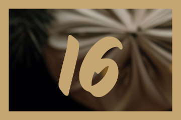 Adventskalender 25 online16